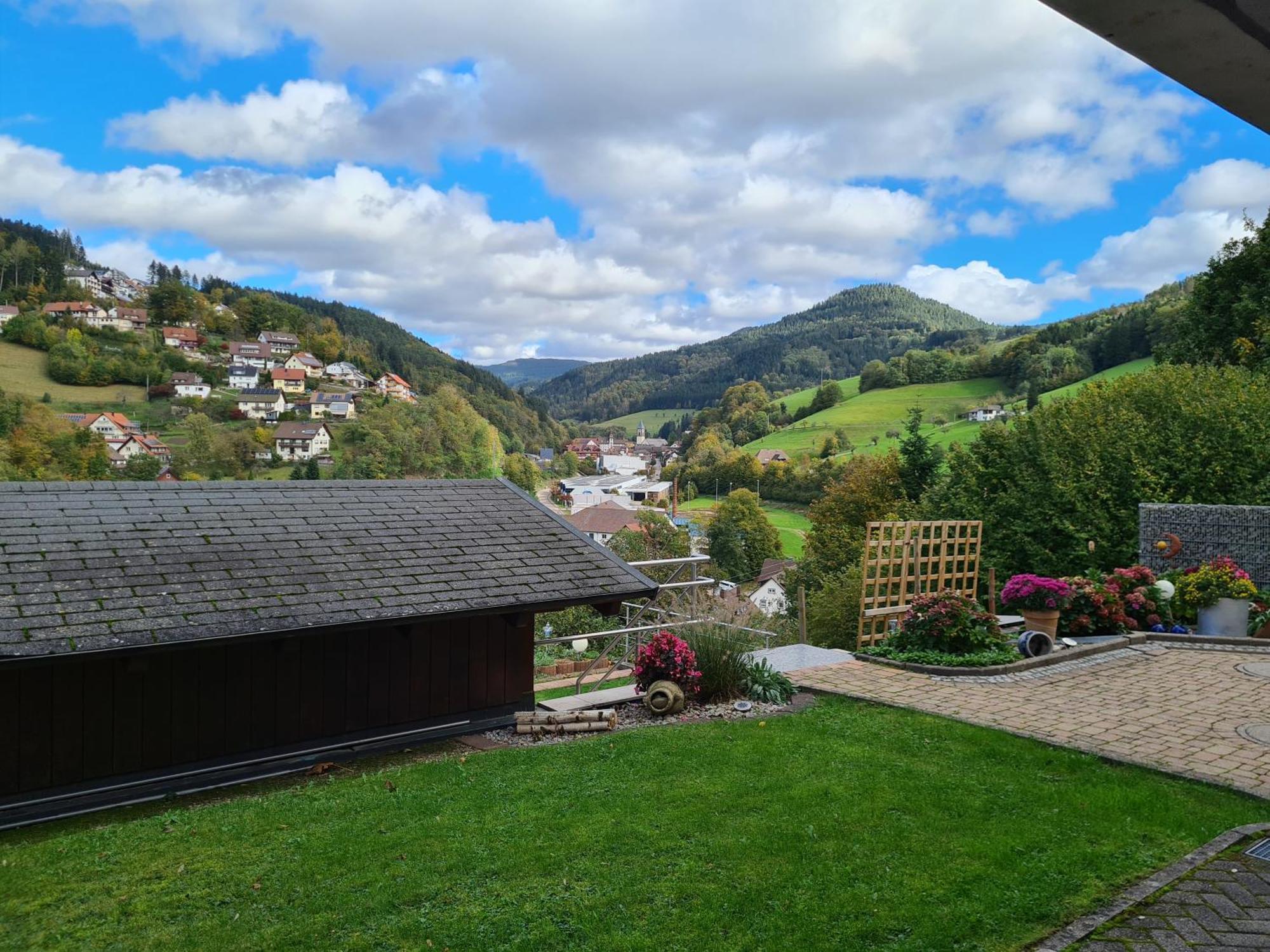 Ferienwohnung Schwarzwaldsteig バート・ペーターシュタル・グリースバッハ エクステリア 写真
