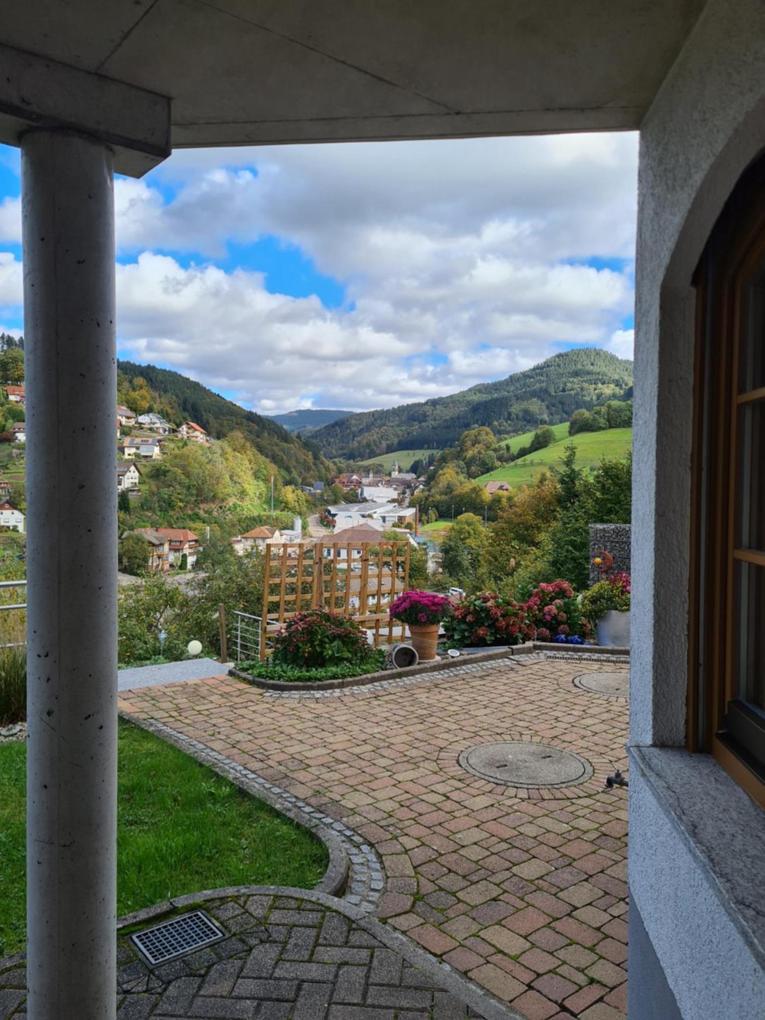 Ferienwohnung Schwarzwaldsteig バート・ペーターシュタル・グリースバッハ エクステリア 写真