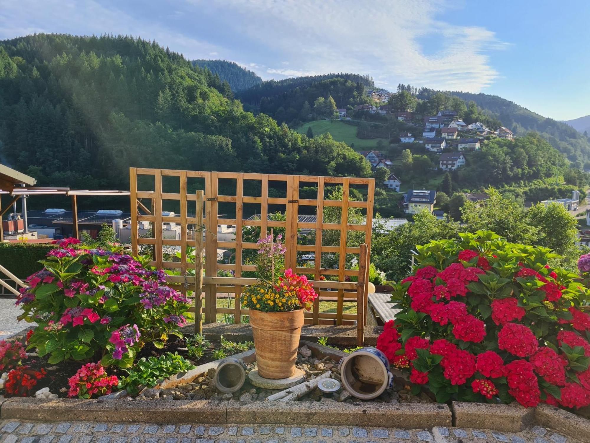 Ferienwohnung Schwarzwaldsteig バート・ペーターシュタル・グリースバッハ エクステリア 写真