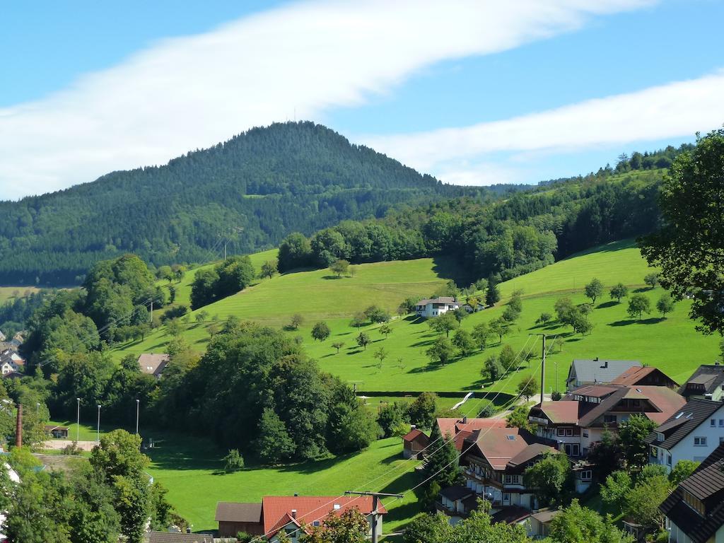 Ferienwohnung Schwarzwaldsteig バート・ペーターシュタル・グリースバッハ エクステリア 写真