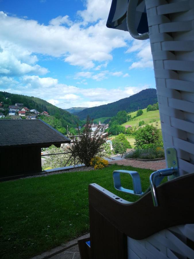 Ferienwohnung Schwarzwaldsteig バート・ペーターシュタル・グリースバッハ エクステリア 写真